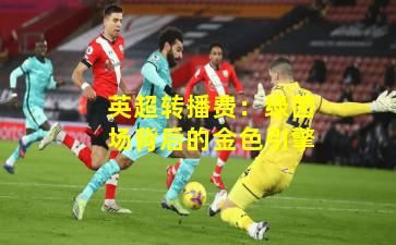 英超转播费：绿茵场背后的金色引擎