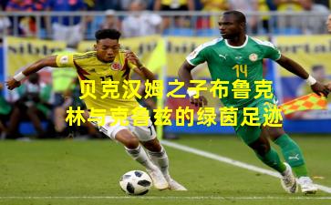 贝克汉姆之子布鲁克林与克鲁兹的绿茵足迹