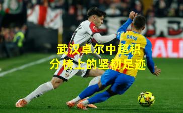 武汉卓尔中超积分榜上的坚韧足迹